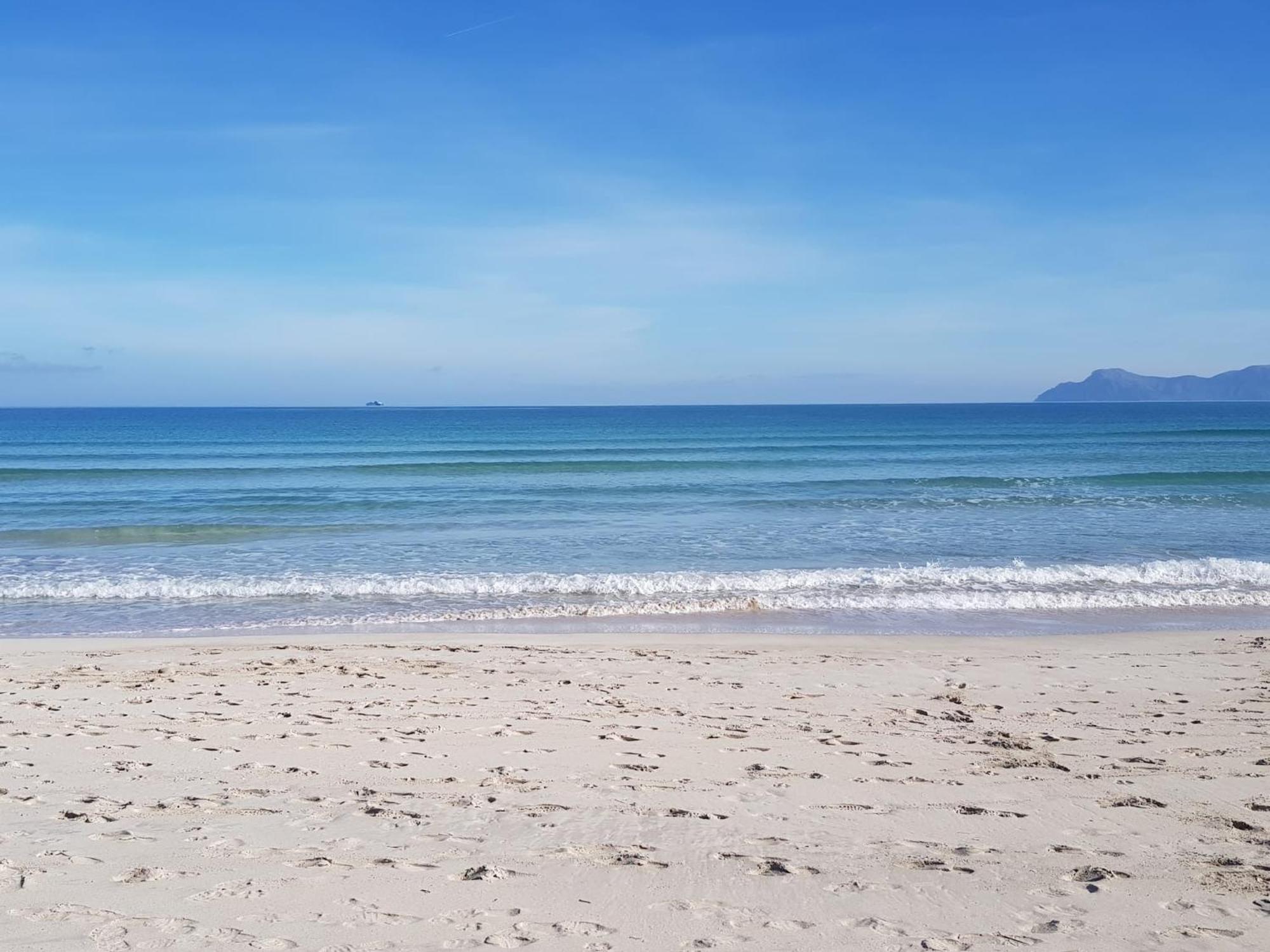 Ideal Property Mallorca - Playasol Port de Alcudia  Bagian luar foto